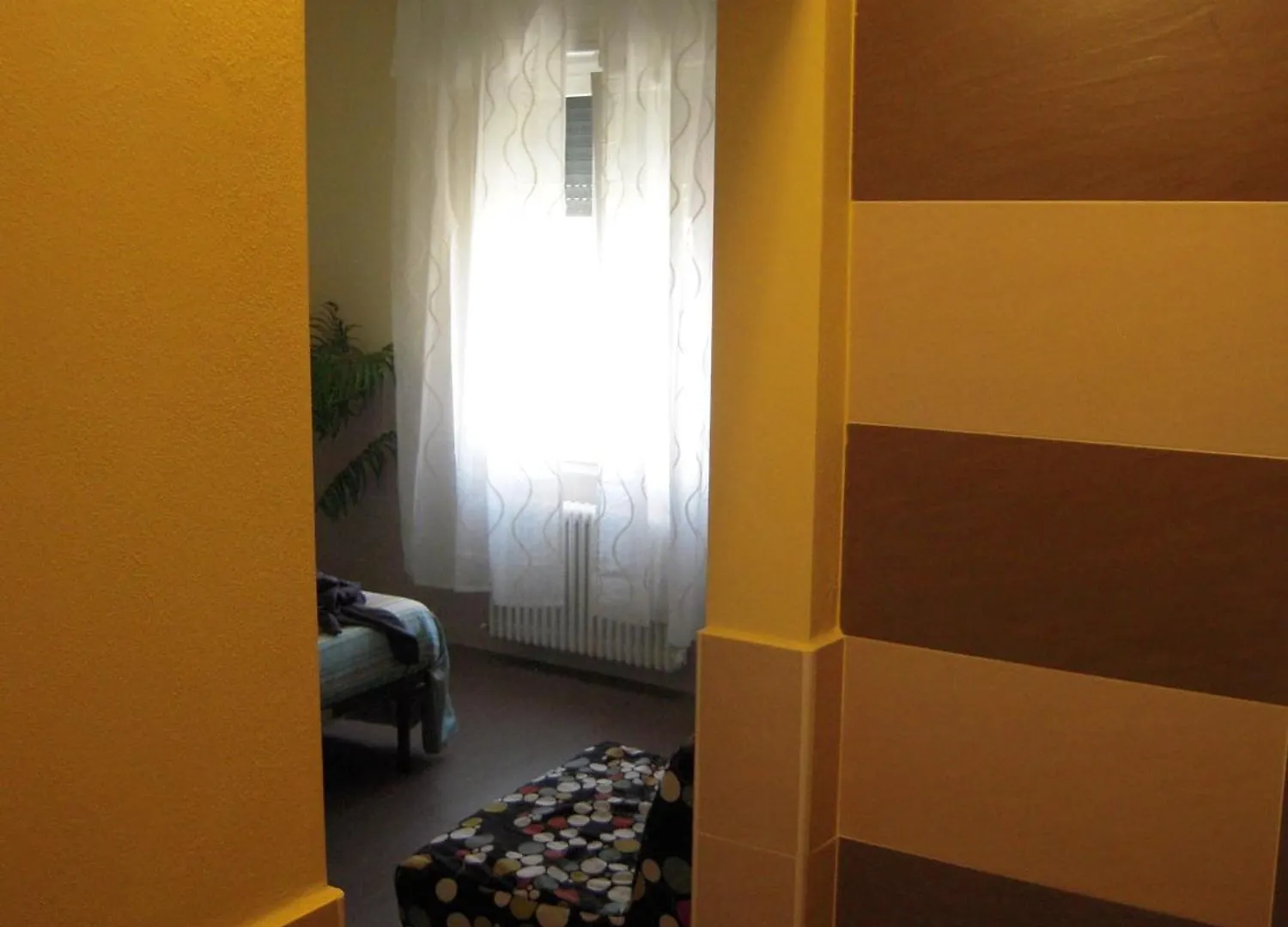 Studio Barca Bologna